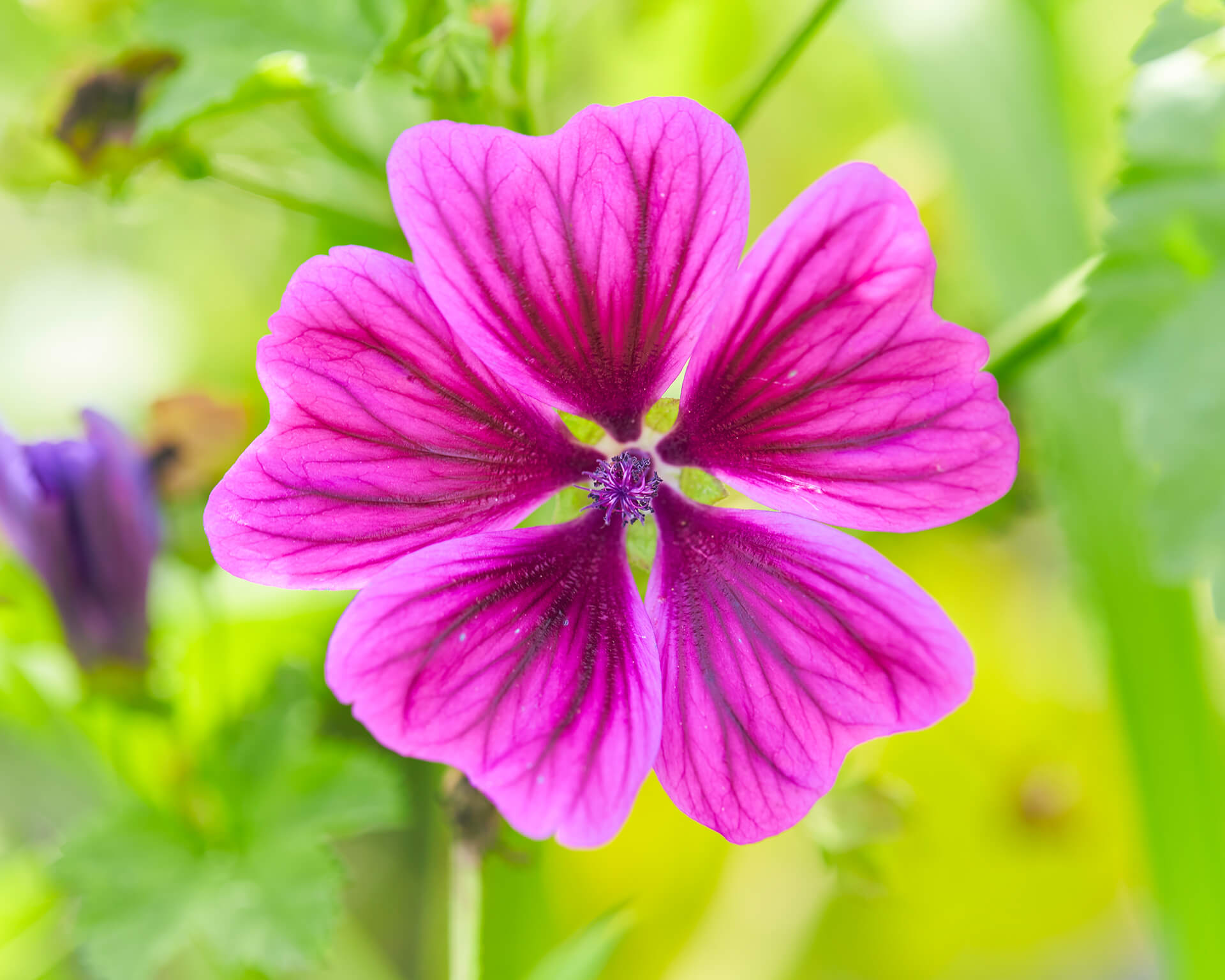 環境への取り組み| IGNIS iO （イグニス イオ）公式サイト