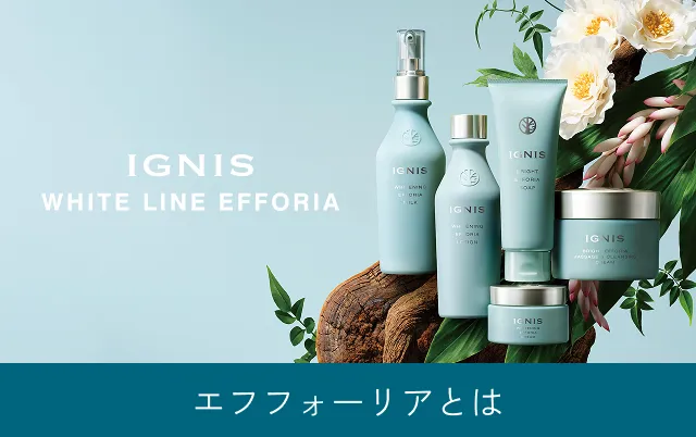 エフフォーリアとは