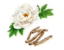 牡丹皮エキス画像