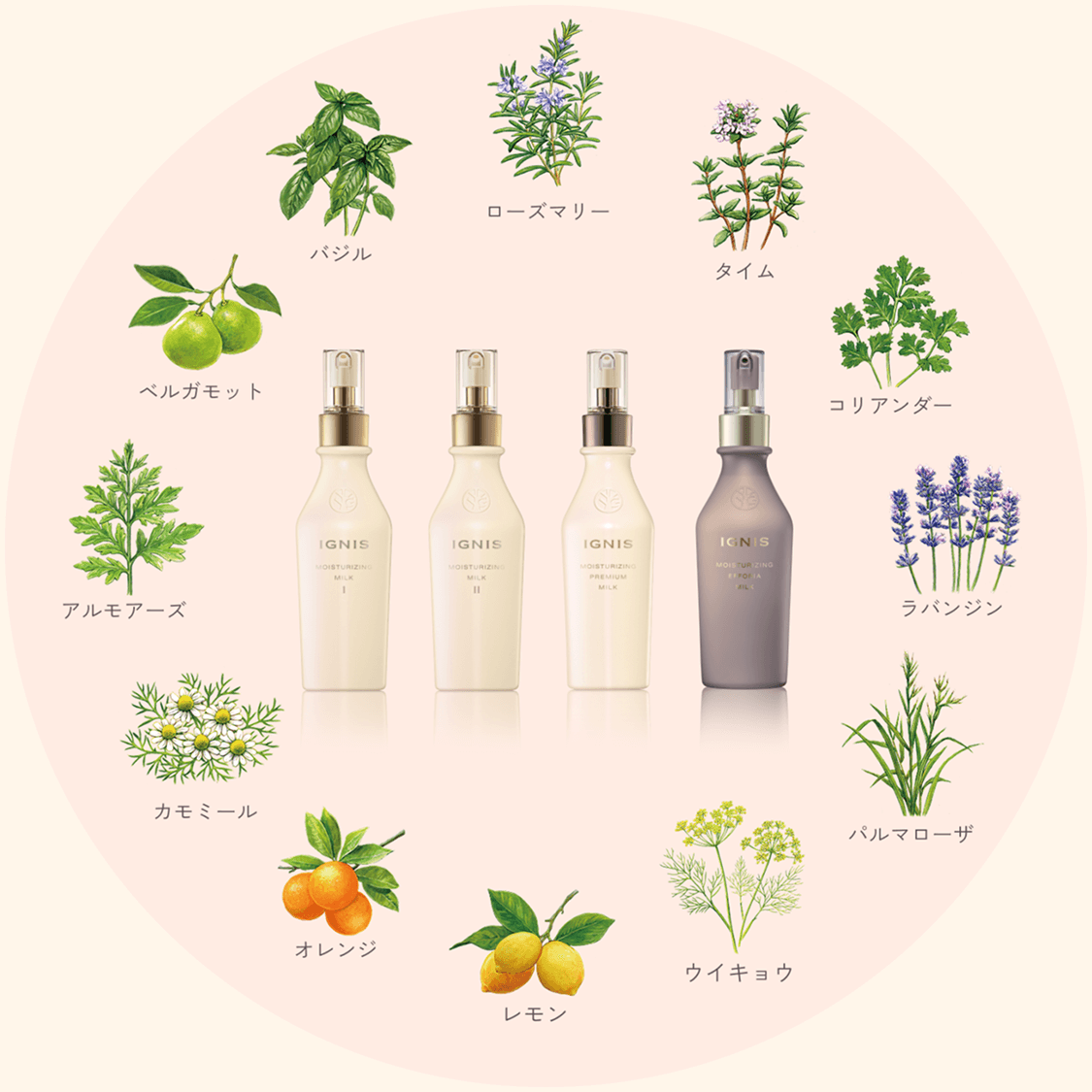 KUM fujisanプロフ必読様専用 アルビオンミルク、イグニス ローション