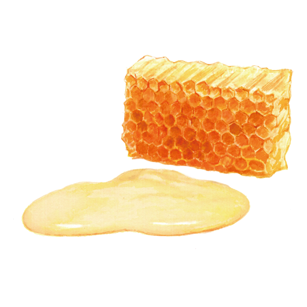 モイスト プレミアム ソープ | IGNIS （イグニス）公式サイト