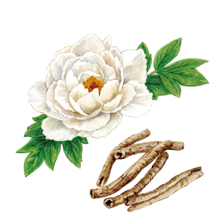 中国 牡丹　2元 オリジナルパッケージ　未使用 牡丹 | 京友禅アロハシャツ Pagong ～パゴン