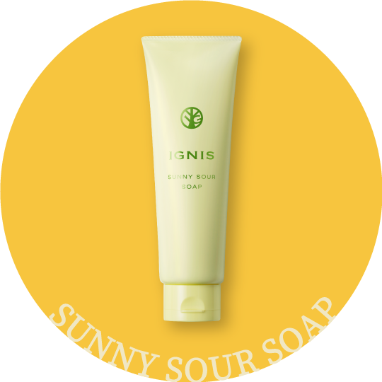 クイズに答えて当てよう！／サニーサワー プレゼント キャンペーン開催