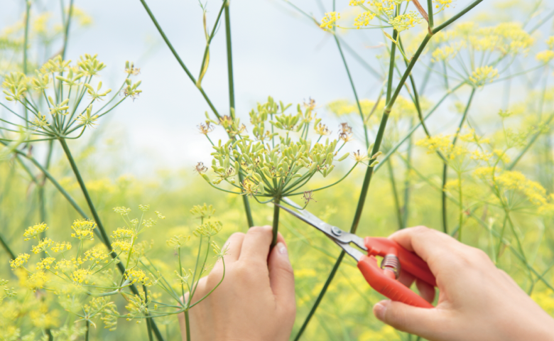 モイスチュアライジングミルク| 植物の可能性を秘めたボタニカル モイスチュアライジングミルク| 植物の可能性を秘めたボタニカル