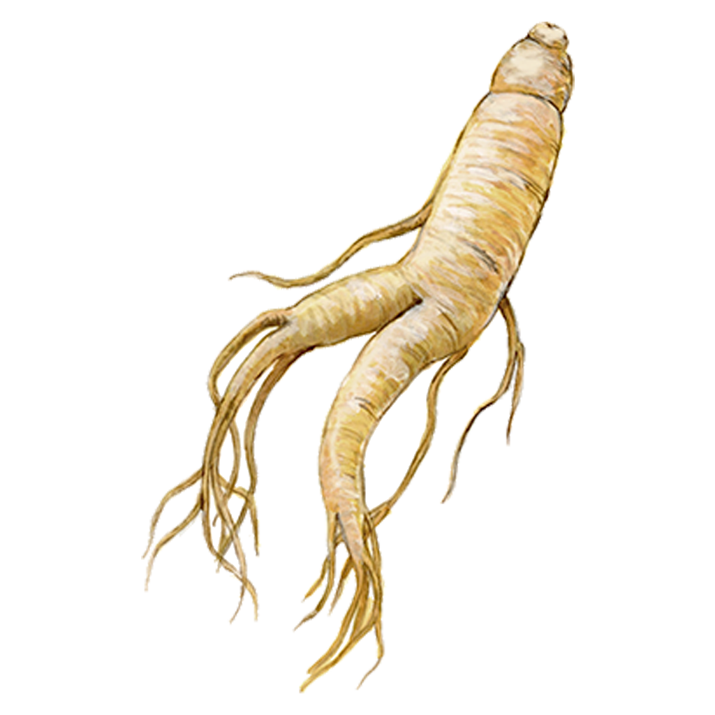 モイスチュアライジング エフフォーリア エッセンス | IGNIS