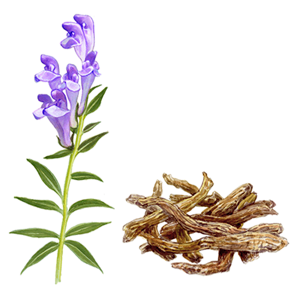 モイスチュアライジング プレミアム エッセンス | IGNIS （イグニス